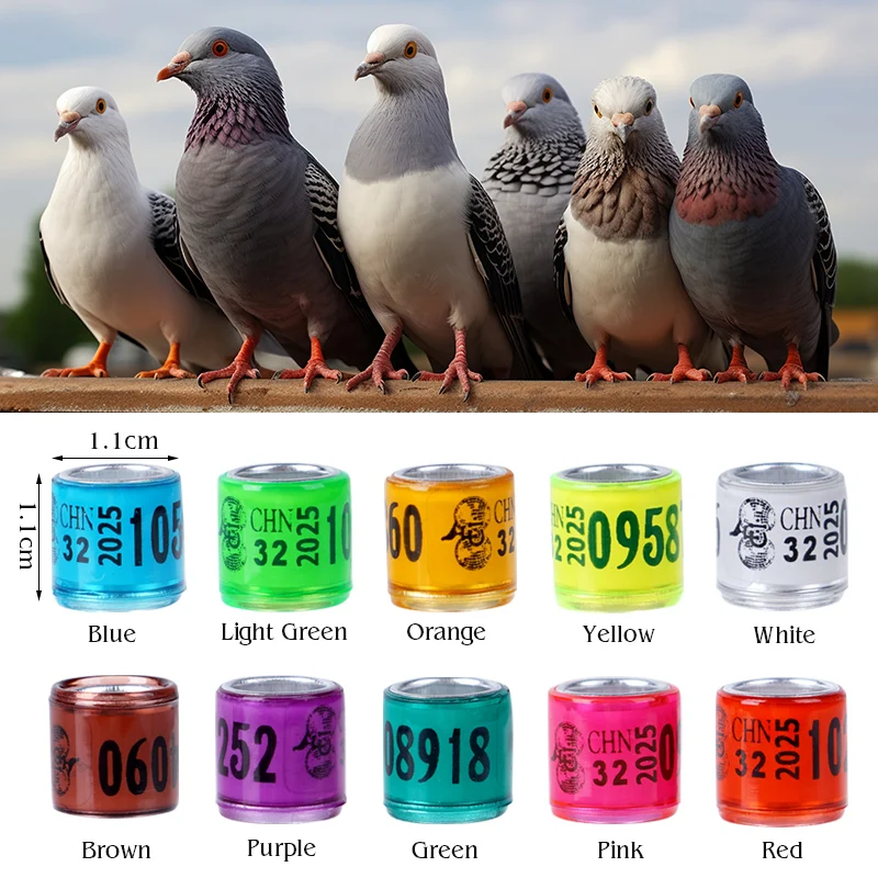 50 قطعة حلقات ساق الحمام الببغاء خواتم القدم الطيور الساق خواتم الحيوانات الأليفة مشبك من البلاستيك حلقة تحديد أدوات مع رسالة رقم