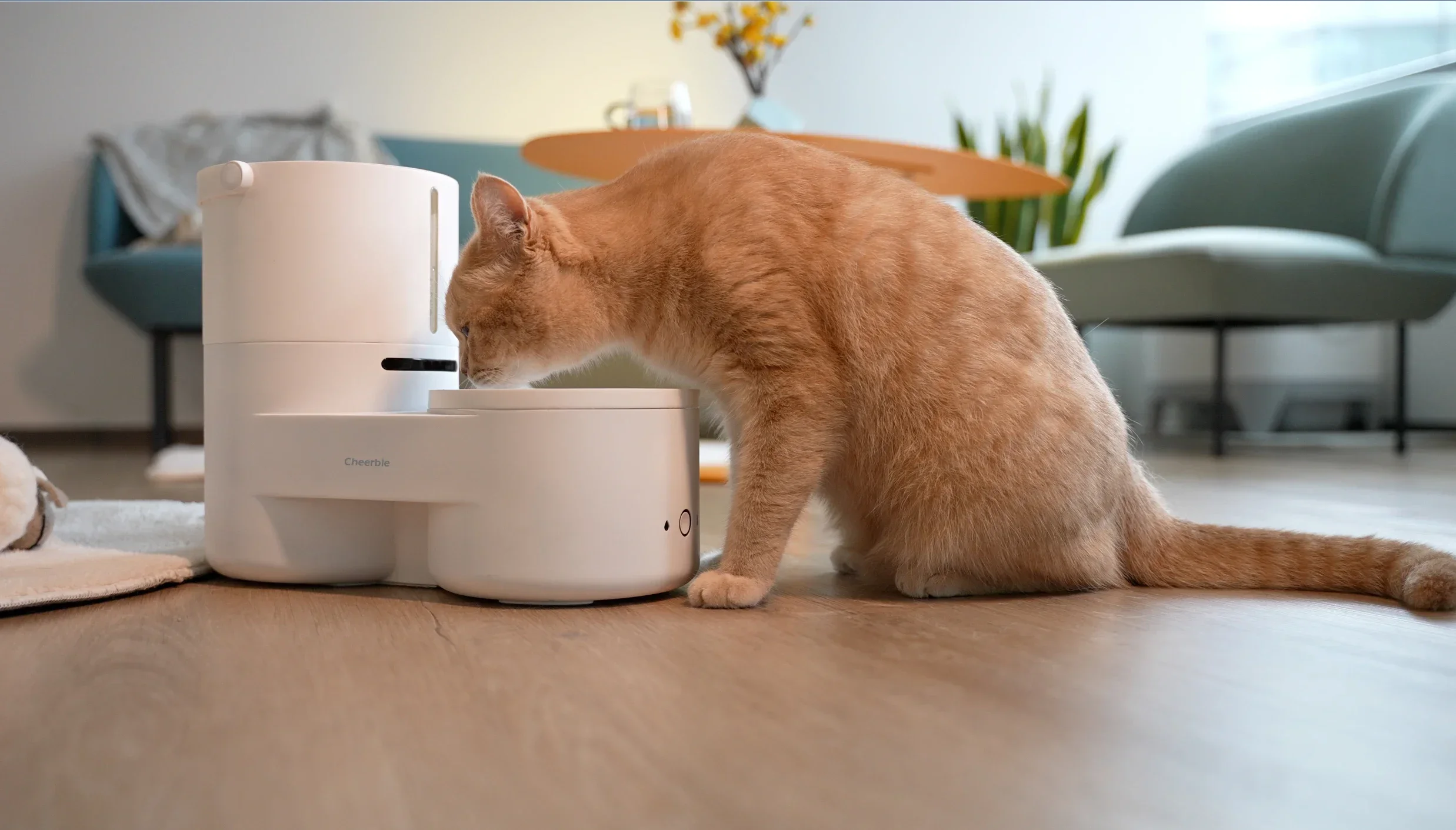 Cheerble Drinkie Your pets favorite self-cleaning water dispenser water dish 100% remotely and hassle-free Smart app