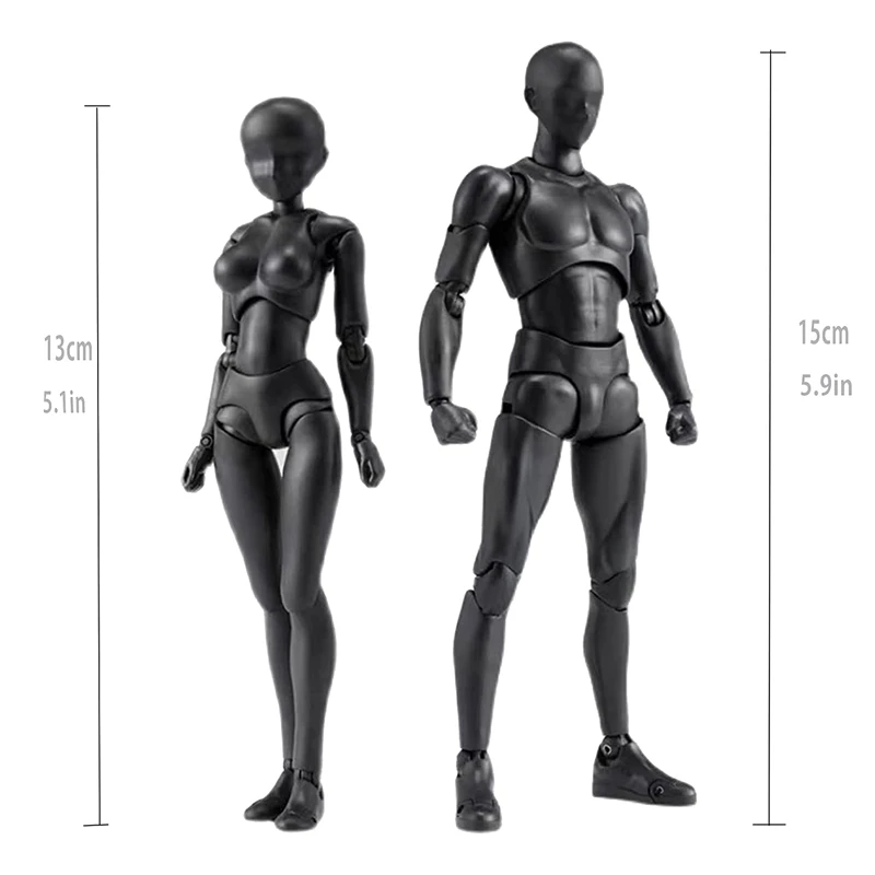 Action Figures PVC Model With Box Drawing Figure Models For Artists(Female+Male)