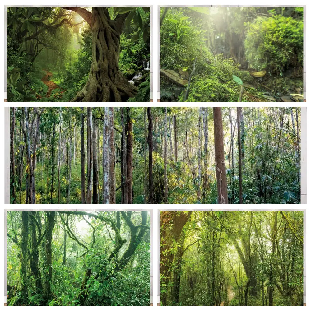 Tropical Rainforest Backdrop Sunshine Mist Jungle Giant Tree Camping Adventure Home Decor Baby Shower Portrait Photo Background