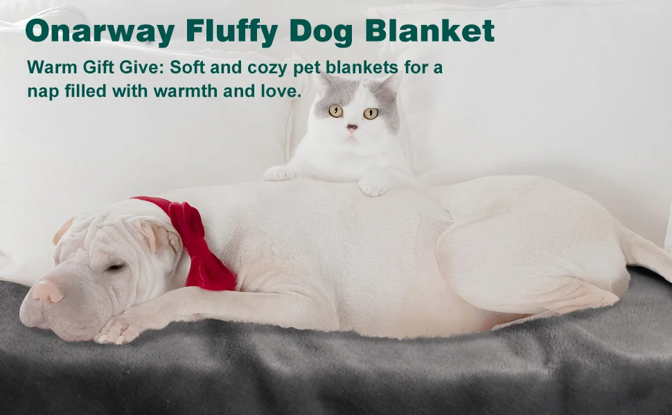 dog blanket washable