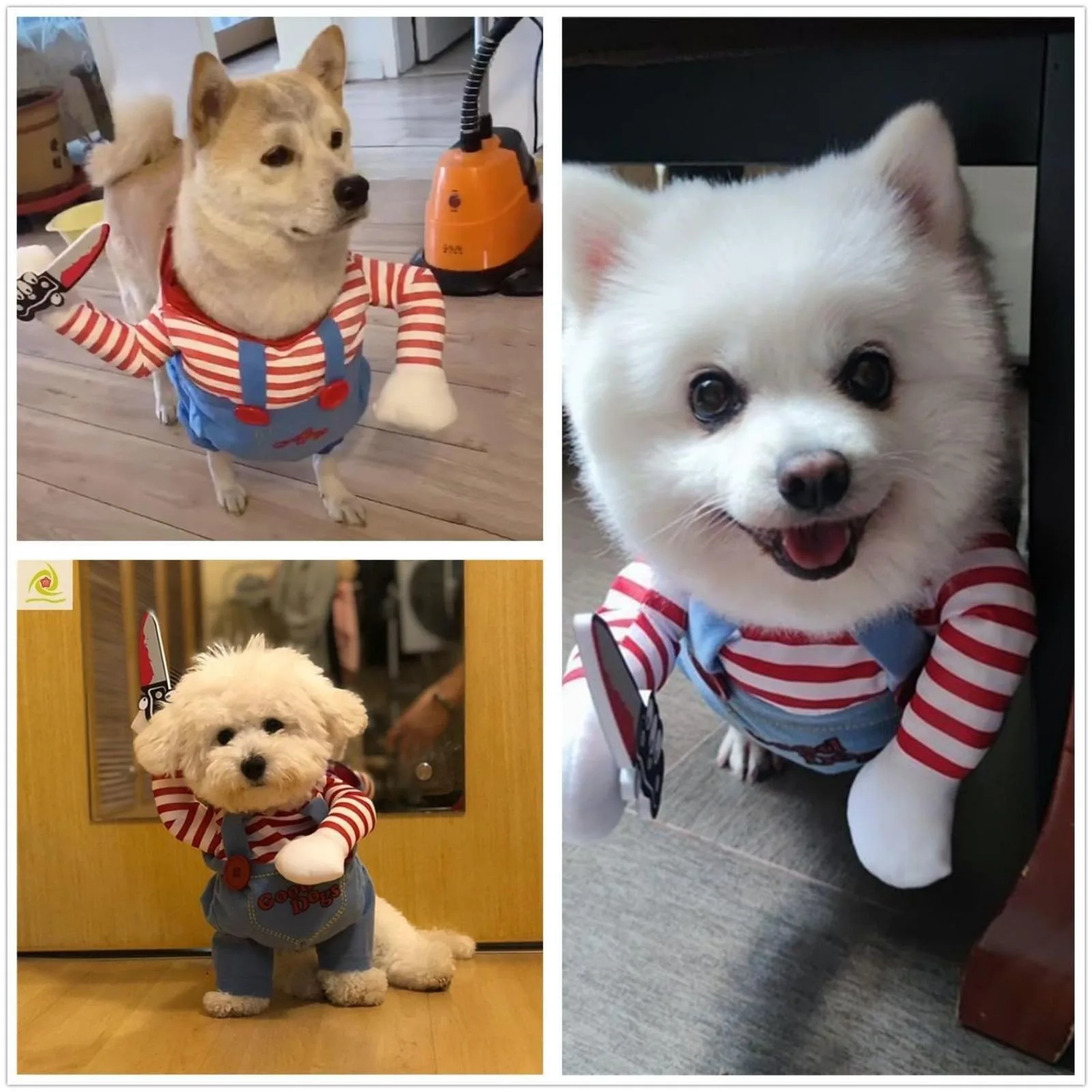 Pet Dog zabawny kostium lalka kostium na imprezę Cosplay Halloween boże narodzenie Clown ubrania dla małych średnich dużych psów