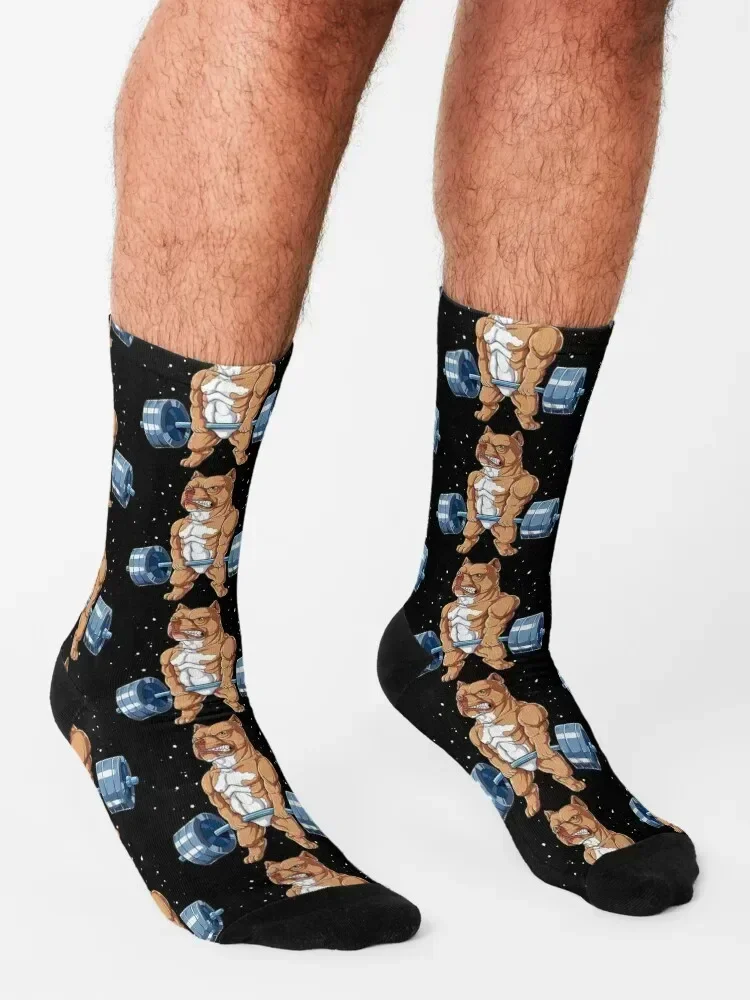Pit Bull Weightlifting Funny Deadlift Men Fitness Gym Gifts Socks winter happy Christmas Socks For Girls Men's