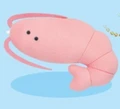 shrimp