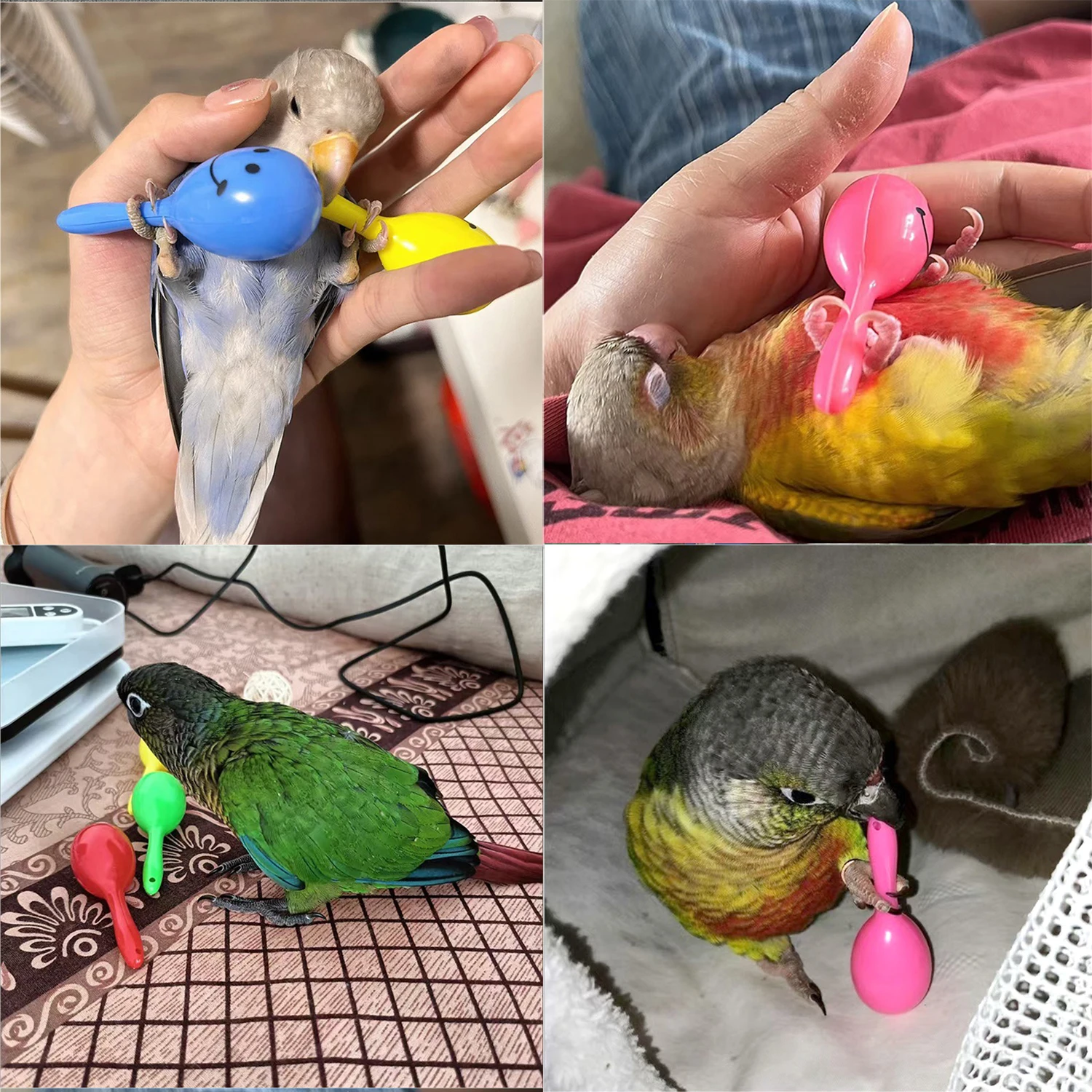 Bonito papagaio chocalho areia martelo bola de areia pordidas de pássaro sabedoria brinquedos de treinamento interativo acessórios para animais de estimação papagaio pássaro chocalho brinquedo 5 pçs