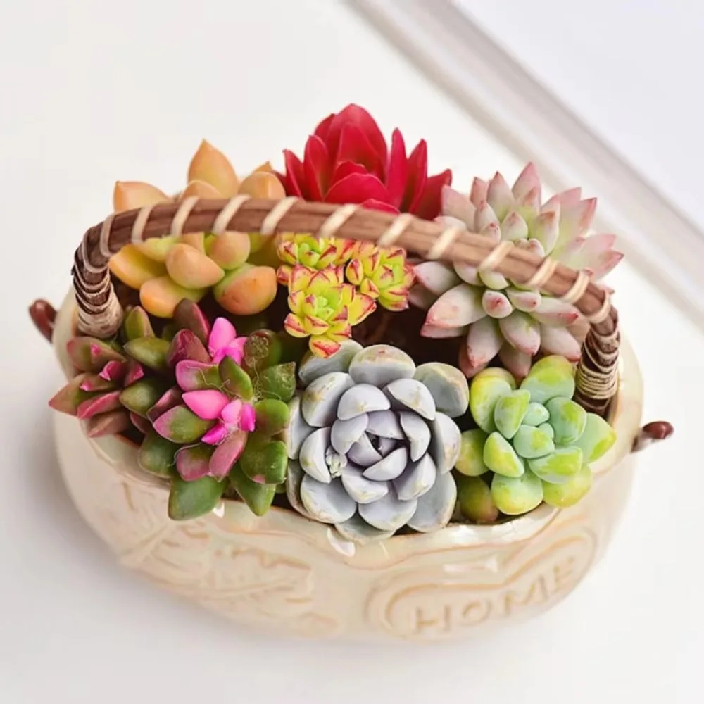 

Corrosion-resistant Ceramic Succulent Planter With Handle Decorative Creative Flower Pot Breathable Nordic Flowerpot Ornament
