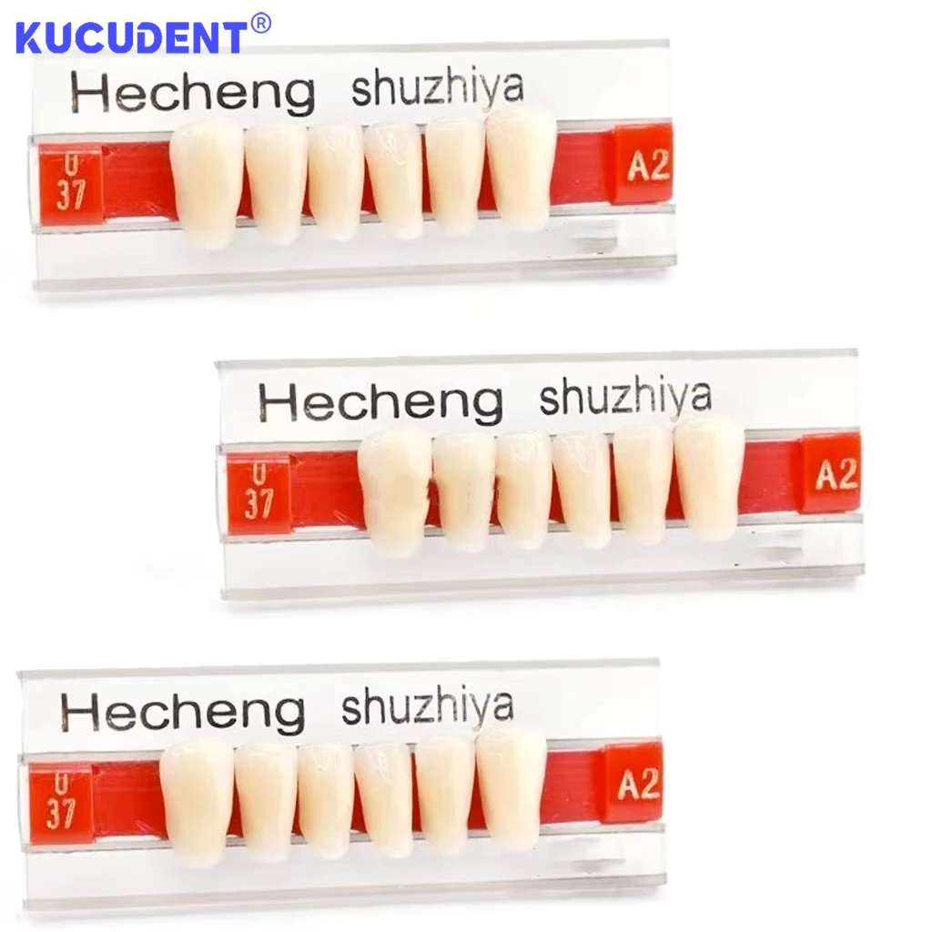 84Pcs Dental Synthetic Resin Teeth Dental Acrylic Denture Teeth Upper Anterior Lower Posterior Teeth Acrylic A2 A3 2Layers