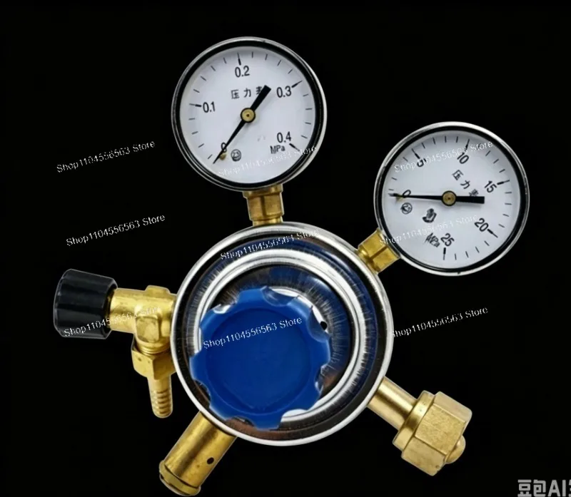 Gas Pressure Regulator 0.1/0.16/0.25/0.4MPa Inlet, DN25 Reducer for Air/Argon/CO2, Standard Brass Body