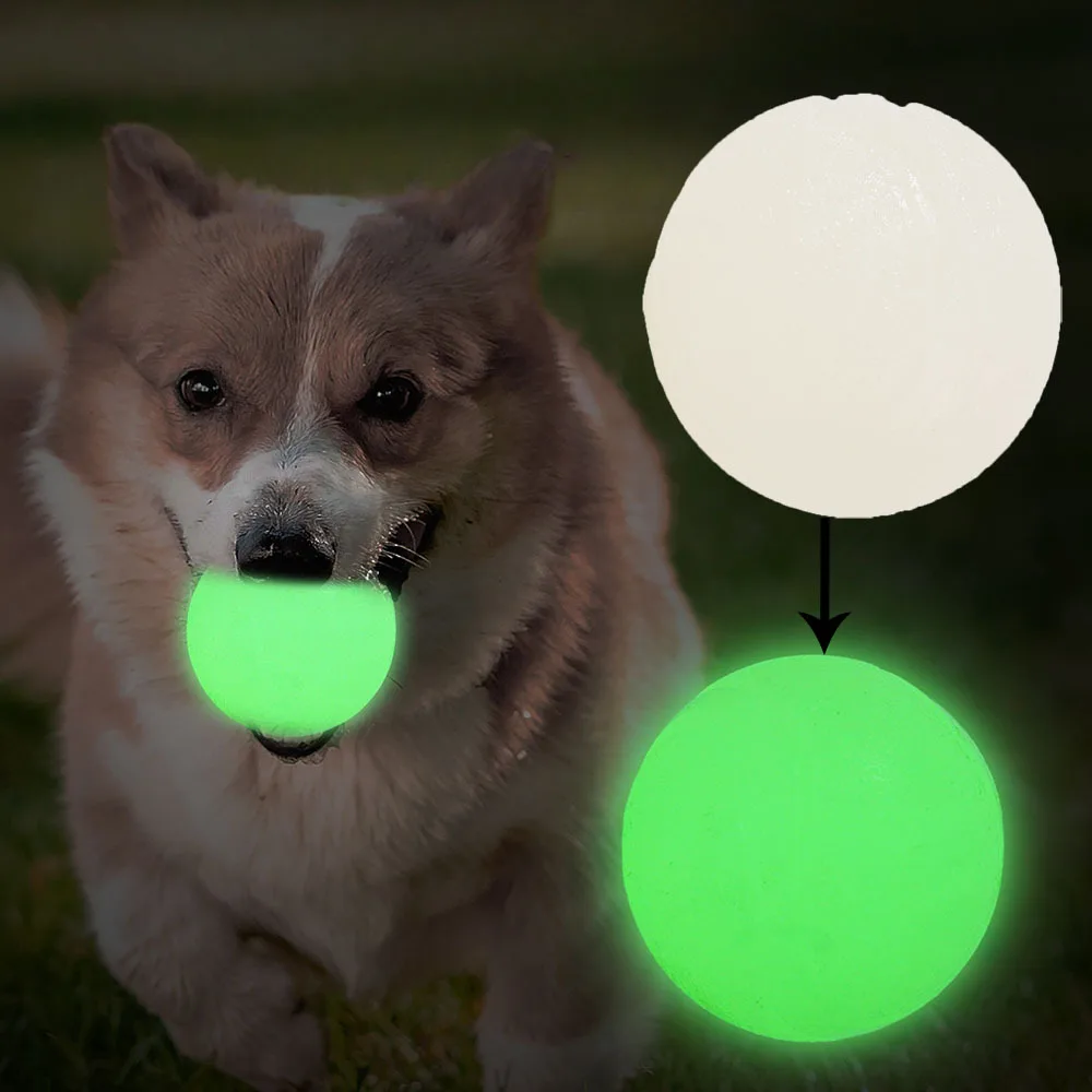 #14 Compare Puppy Balls Before You Buy