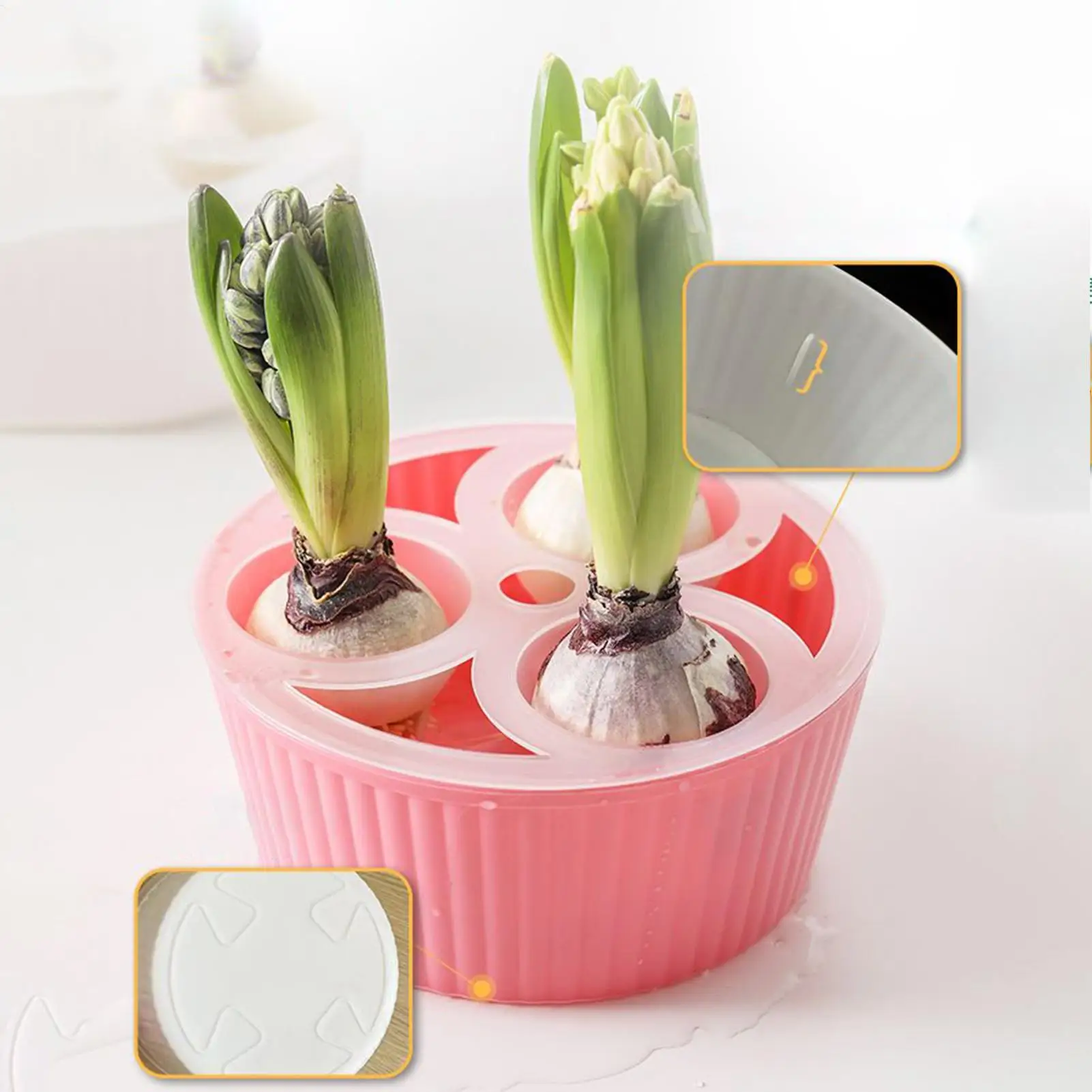 Hydroponischer Blumentopf für Tulpenzwiebeln mit 3 Löchern, Blumentopfbehälter, Behälter zum Pflanzen von Blumenzwiebeln für den Garten, zum Pflanzen von Narzissen