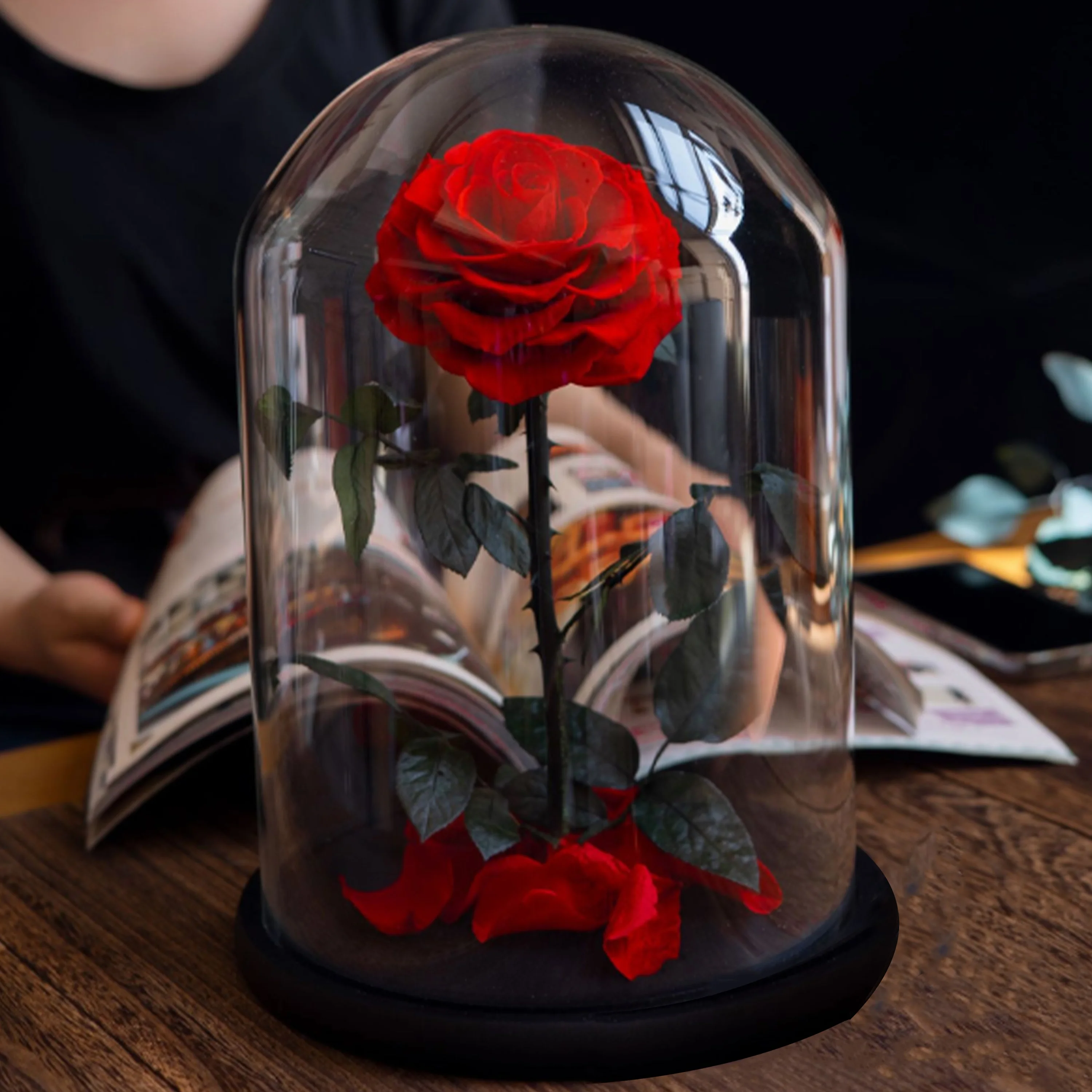 Eternal Rose in Glass Dome Real Rose Preserved Flowers Handmade Gifts for Valentines Day, Mother's Day, Anniversary, Birthday