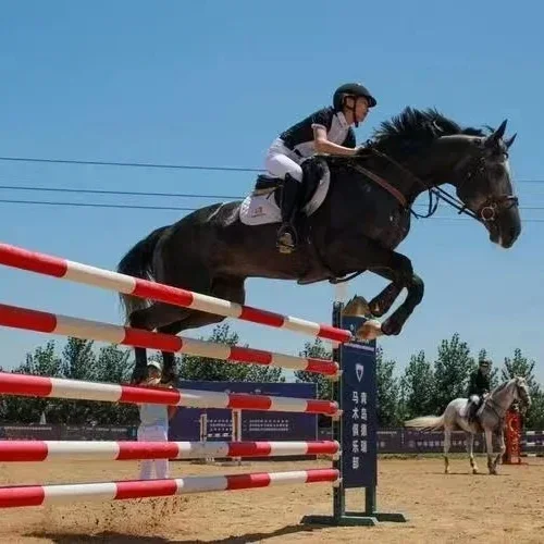 Horse Show Equestrian Hurdle Jumps Horse Jump PVC Poles Equestrian Show Obstacle Horse Riding Jumps