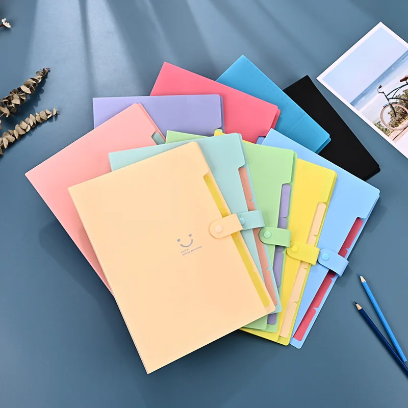 

Pink A4 Classic Accordion File Folders Storage Bags with Plastic Document and Test Roll Holder - Durable and Expanda School