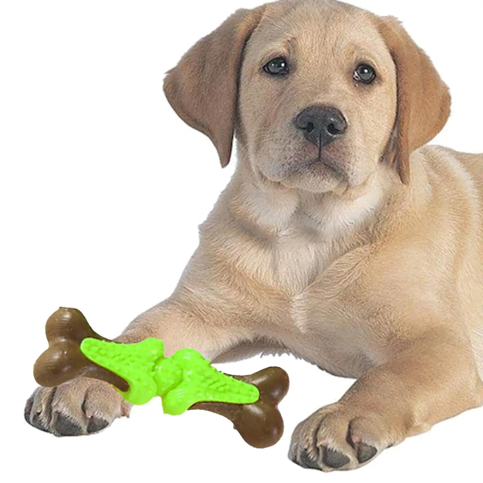 Dog Chew Toy Puppy Teething Bite Resistant Bone Shaped Interactive Toys Durable Dog Toys for Medium/Large Breeds Pets Supplies