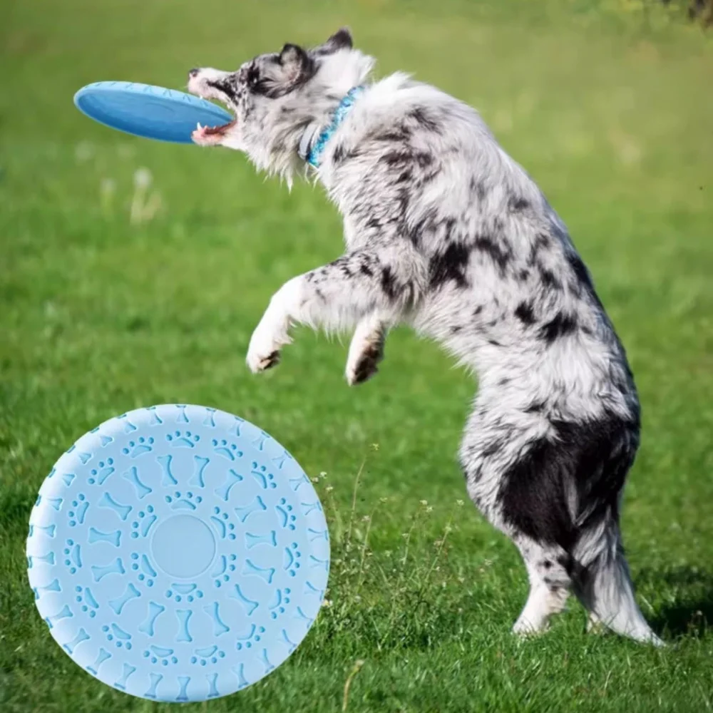 TPR Flying Disc for Dogs: Durable Fetch & Chew Toy, Floats on Water & Glides Well for Outdoor Training and Interactive Play