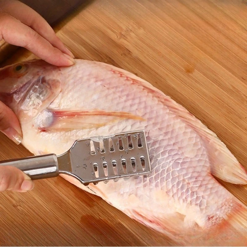 

Professional Fish Scaler Stainless Steel, Anti-Slip Handle for Quick Scale Removal Without Mess, Easy Clean Kitchen Tool