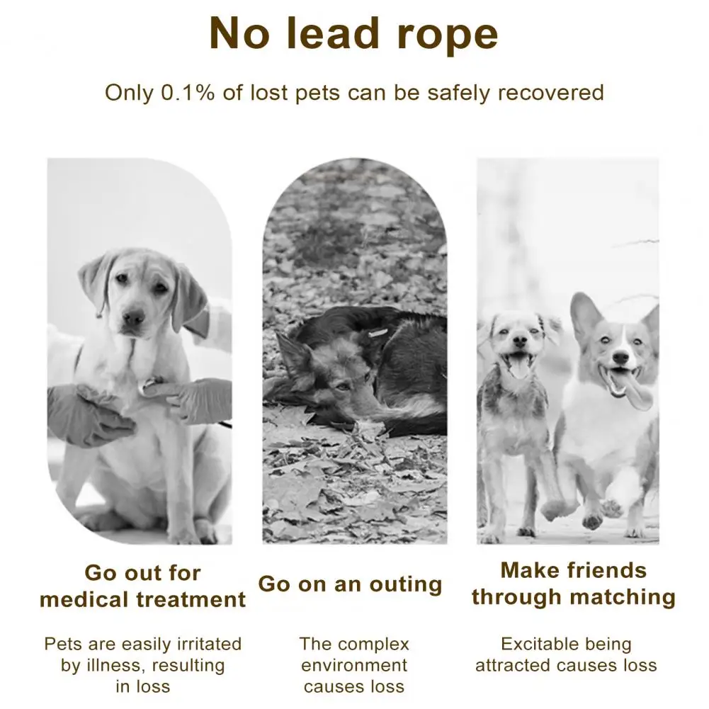 

Уличная шлейка для домашних животных, Регулируемый жилет с поводком для кошек, для безопасных стильных прогулок на открытом воздухе, нагрудный ремень с защитой от отрывов, специально для котят