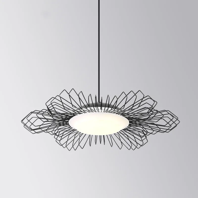 Living room chandelier, creative personality Nordic ins style retro modern minimalist home wrought iron bird's nest bedroom