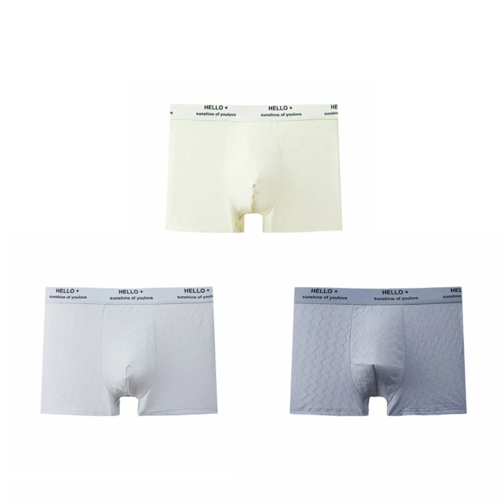 

3PCS Plus Size Men's Coton Boxer Briefs Cotton Seamless Letter Printed Panties Spiricle Mid Waist Underwear for Man