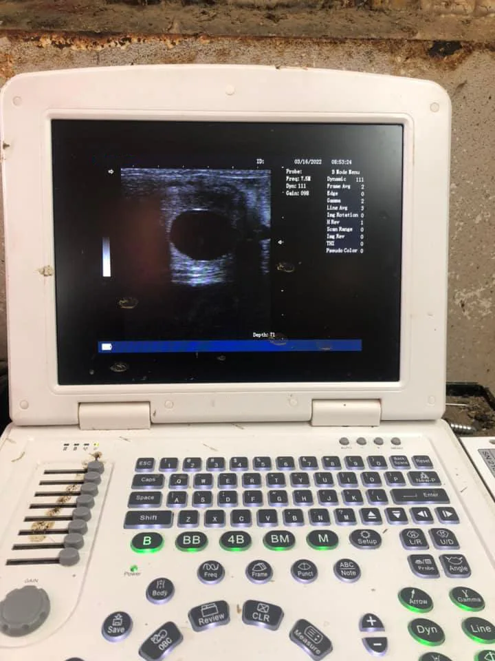 High definition human and animal universal B ultrasound machineDW580portable Doppler ultrasonic scanner color ultrasound machine