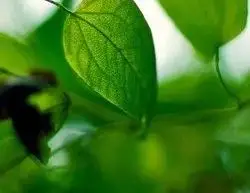 

12V 80Ah LiFePO4 Battery Built-in BMS 5000 Cycles For RV Campers Golf Cart Solar