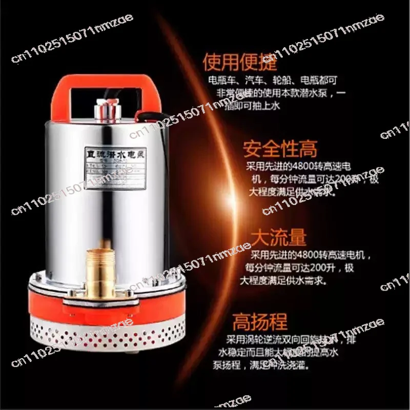 Electric Vehicle Water Agricultural Watering DC Submersible Pump 12V24V48V60V Volt Battery Car Water Pump