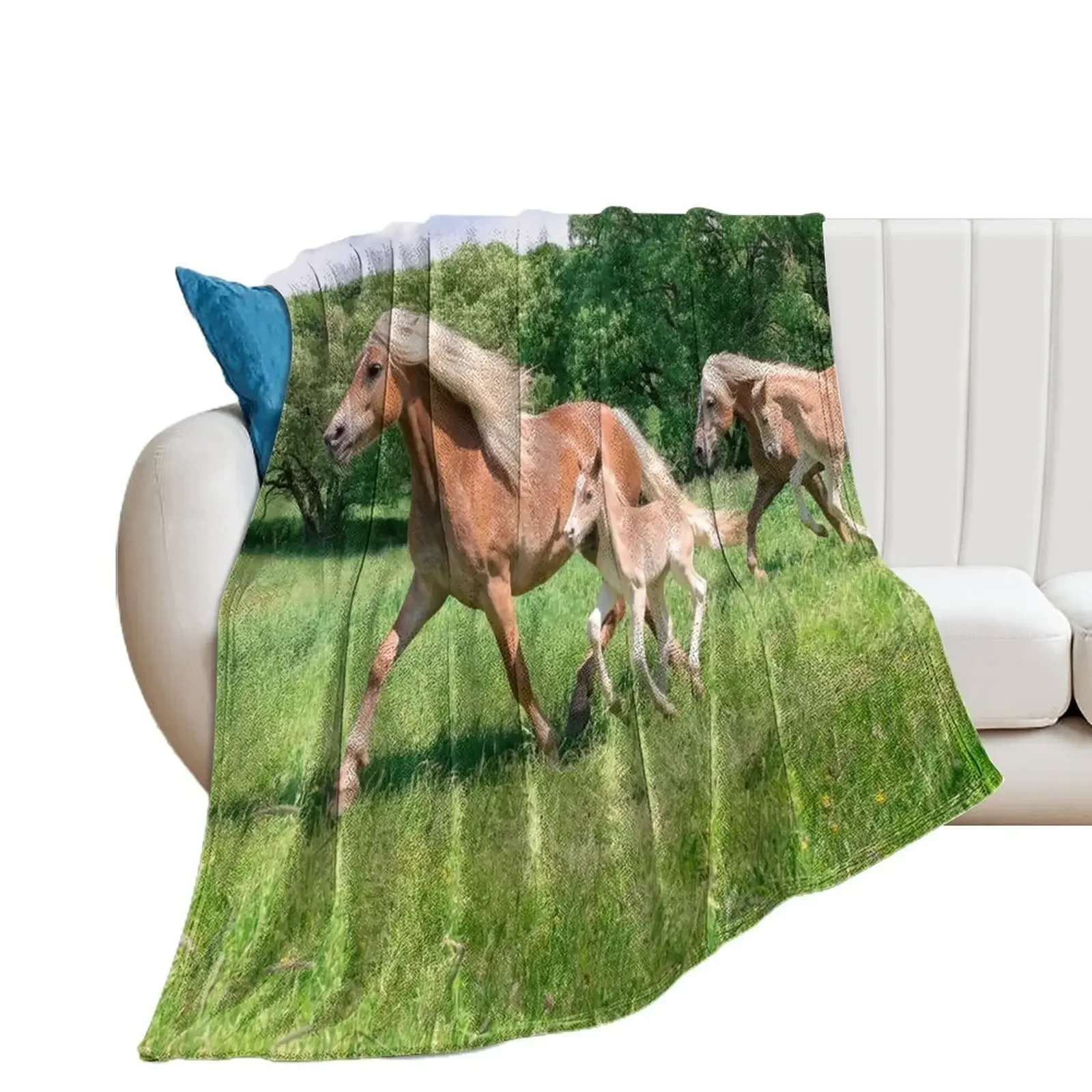 

Haflinger horses run together Throw Blanket Flannels Comforter Blankets