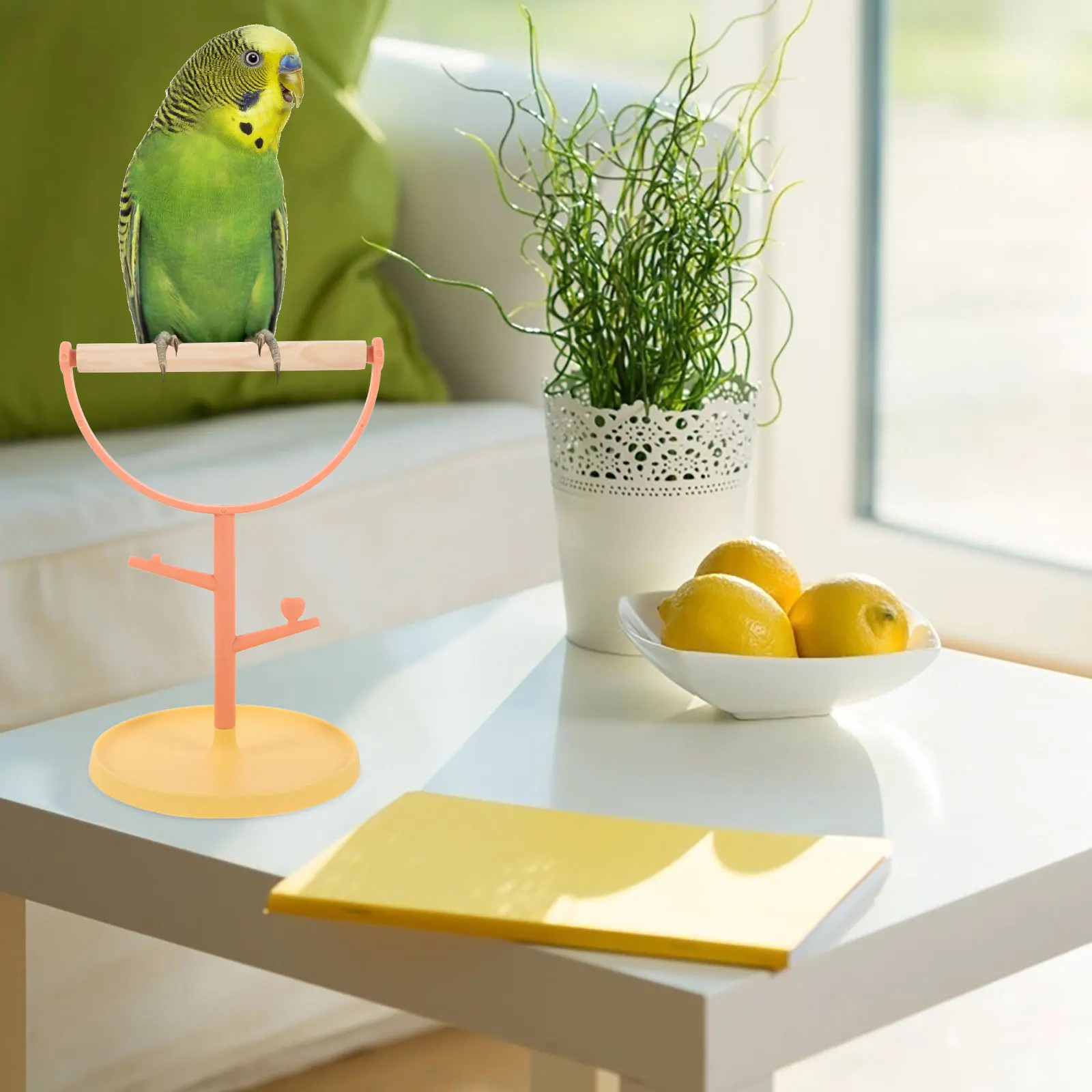 

Sturdy Bird Training Stand Stable Base Plastic Wood Tabletop Parrot Perch Indoor Office Use Durable Not Easy Overturn Desktop