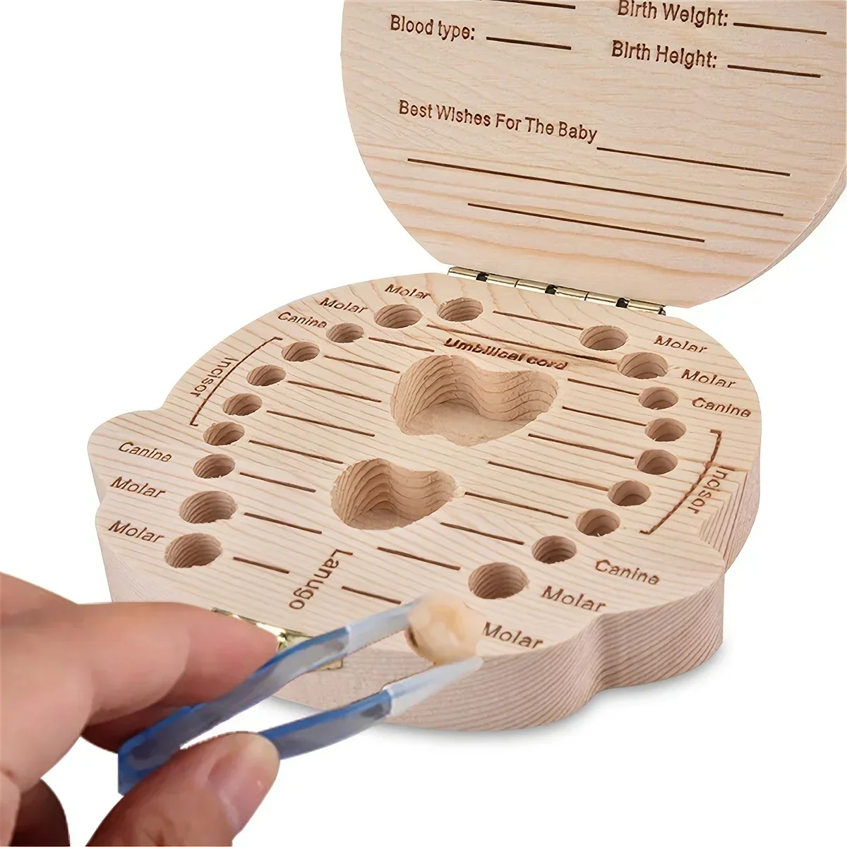 Spanish English Baby Wood Tooth Box Organizer Milk Teeth Storage Collect Teeth UmbilicaSave Cord Lanugo Gift caja madera