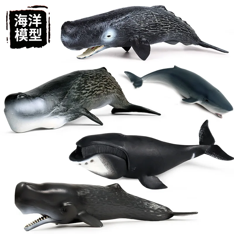 Simulation of marine biological model Children's early education cognitive toy Sperm whale Shark  Plastic accessories