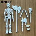 Skeleton white