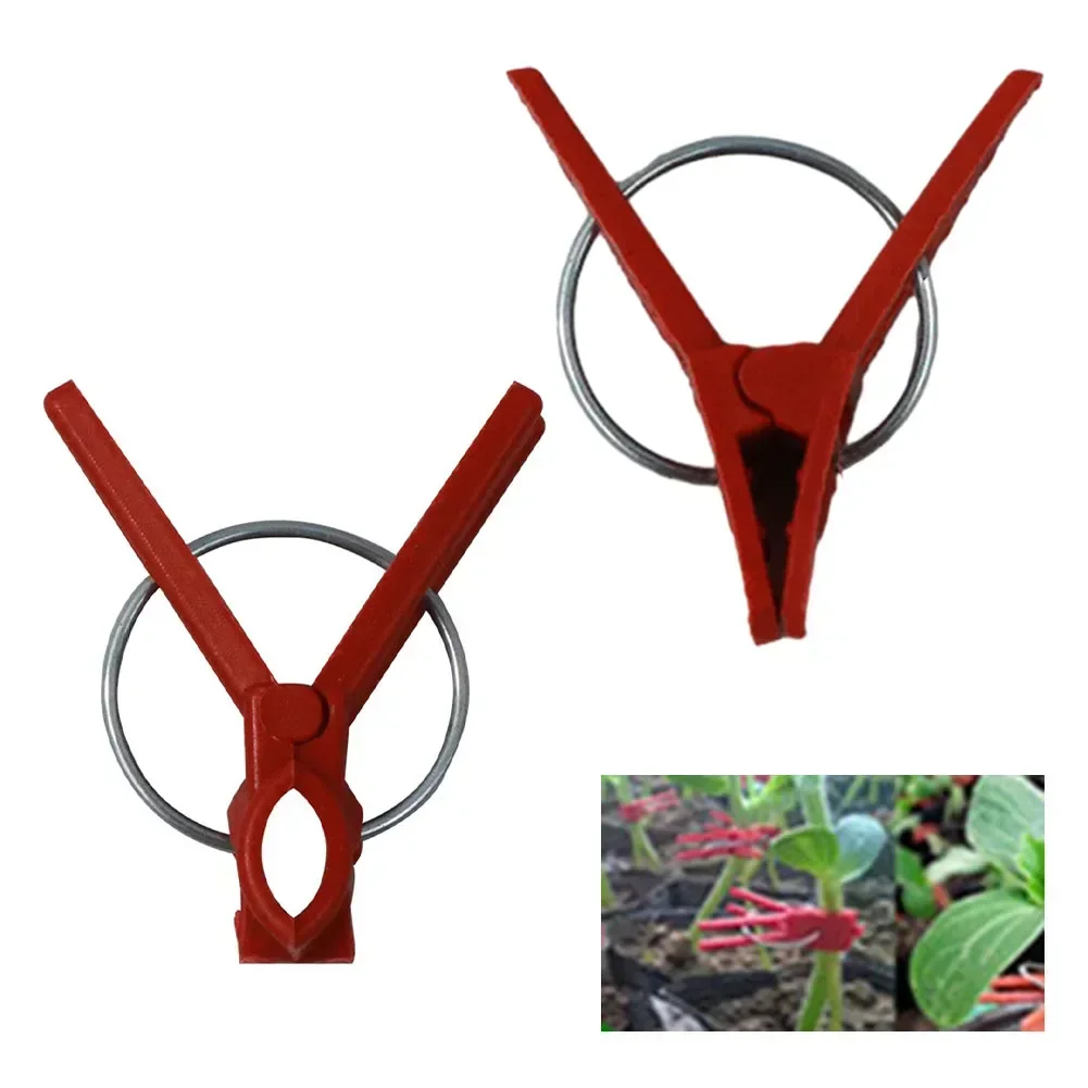 50pcs Premium Plastic Clips Garden Tools For Cucumber Eggplant Watermelon Vegetable Round/flat Mouth Grafting Clips