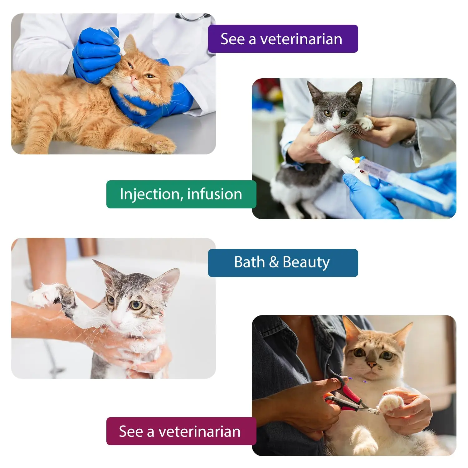 4 قطع من طوق تهدئة القطط - رائحة اللافندر، تخفيف فيرومون لمدة 60 يومًا للإجهاد/الخدش، قابل للتعديل للقطط (الزيارات النباتية/الطبيبية) #6