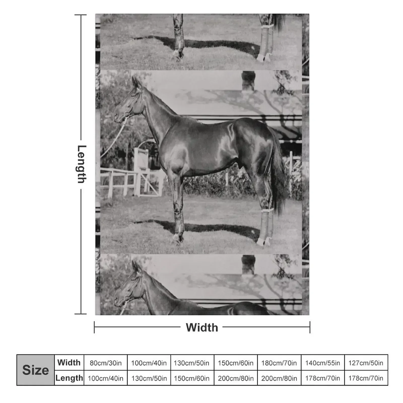 Champion Australasian racehorse Phar Lap. Throw Blanket Blankets For Sofas Luxury Designer manga Thins Blankets
