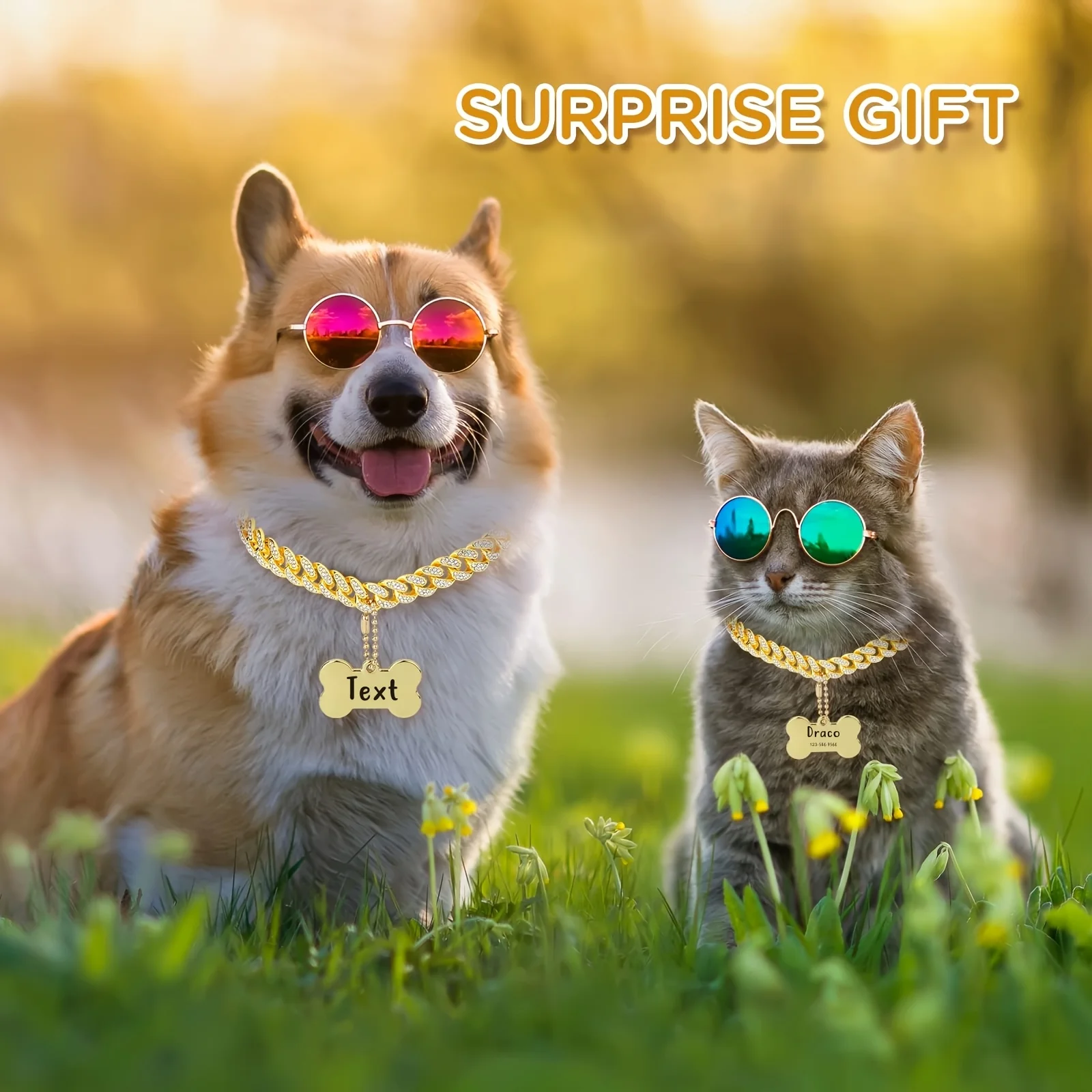 Thumbnail 4 - #65 Compare Puppy Collars Before You Buy