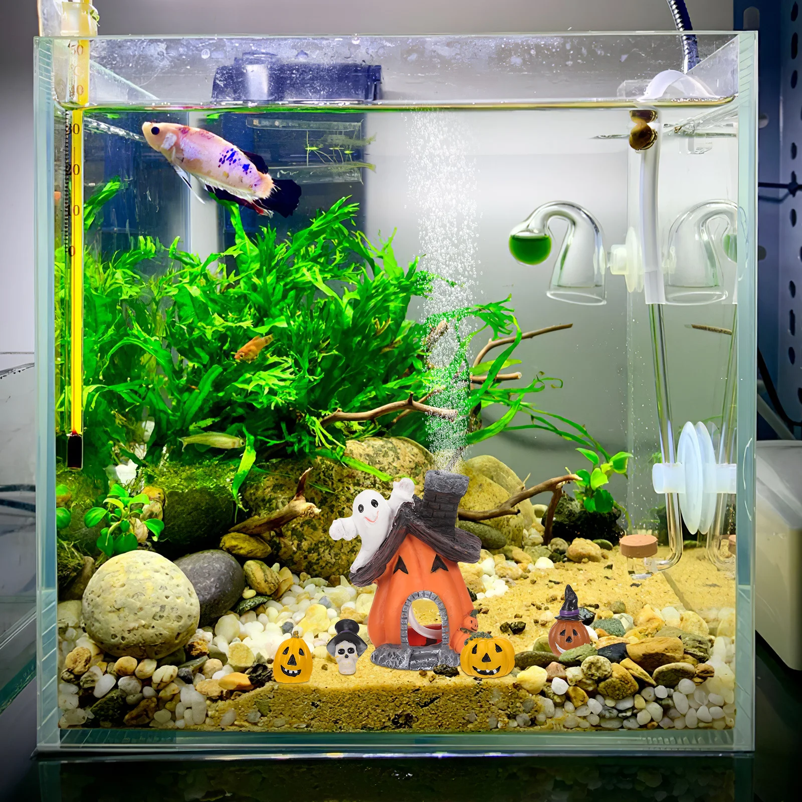 

5Pcs Halloween Pumpkin Decoration Fish Tank Pumpkin Resin Ornament Party Scene Layout Fish Tank Decoration