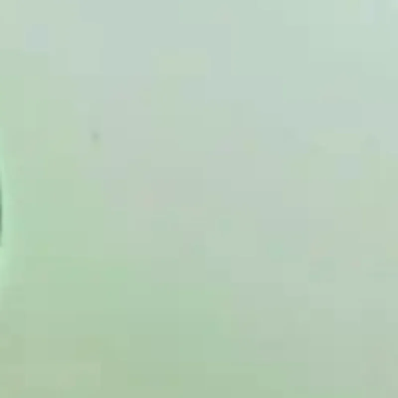 

Toddlers' Educational Montessori Woodpecker Toy, Magnet-based Fishing and Insect Hunting Game