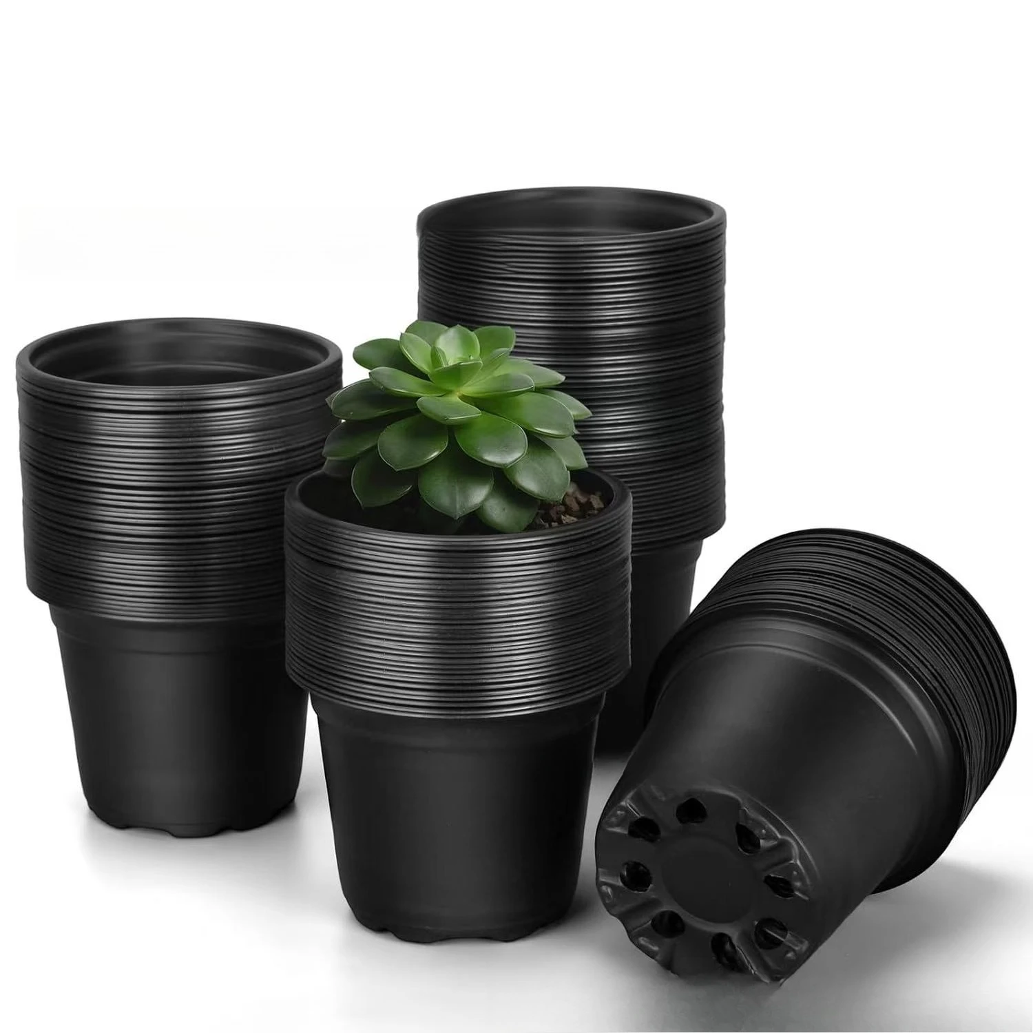 Maceta de plástico para plántulas, maceta redonda pequeña negra, maceta para plantar, maceta para plántulas de suculentas, maceta negra con orificios, raíz transpirable