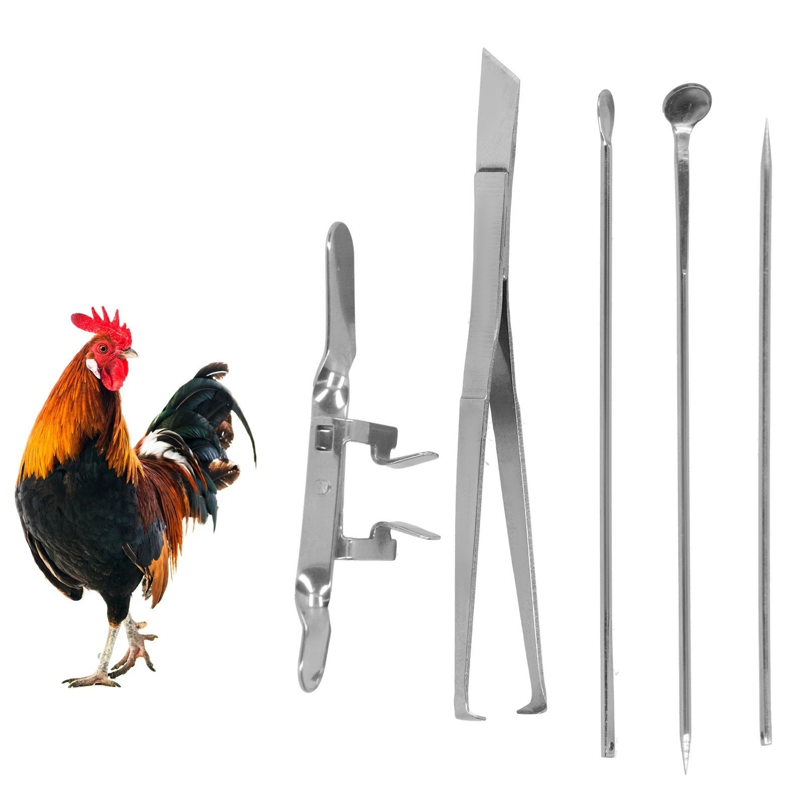 Chicken Capon Kit Capon Knife Tool Cock Rooster Caponizing Instruments Set Poultry Equipment