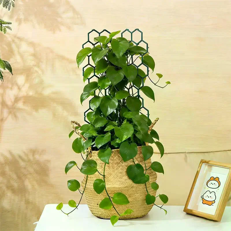Garden Trellis Set 1 5Pcs Honeycomb Plastic Support For Potted Vine Plants Suitable For Indoor And Outdoor Use