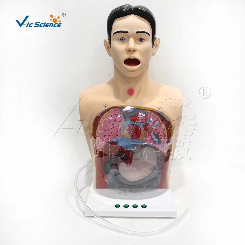 Advanced Basic Nursing Internship Operation Model medical science nursing training model