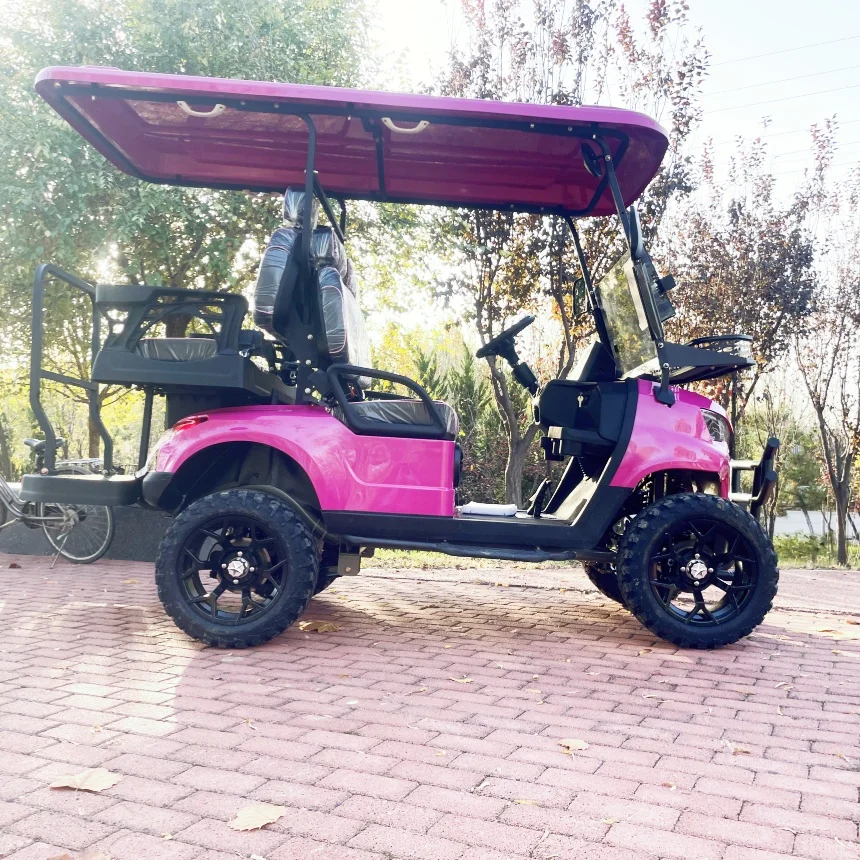 The Best Price Hunting Buggy Electric Golf Cart Customization Touch Screen Multimedia With Backup Camera Scenic Sightseeing Car