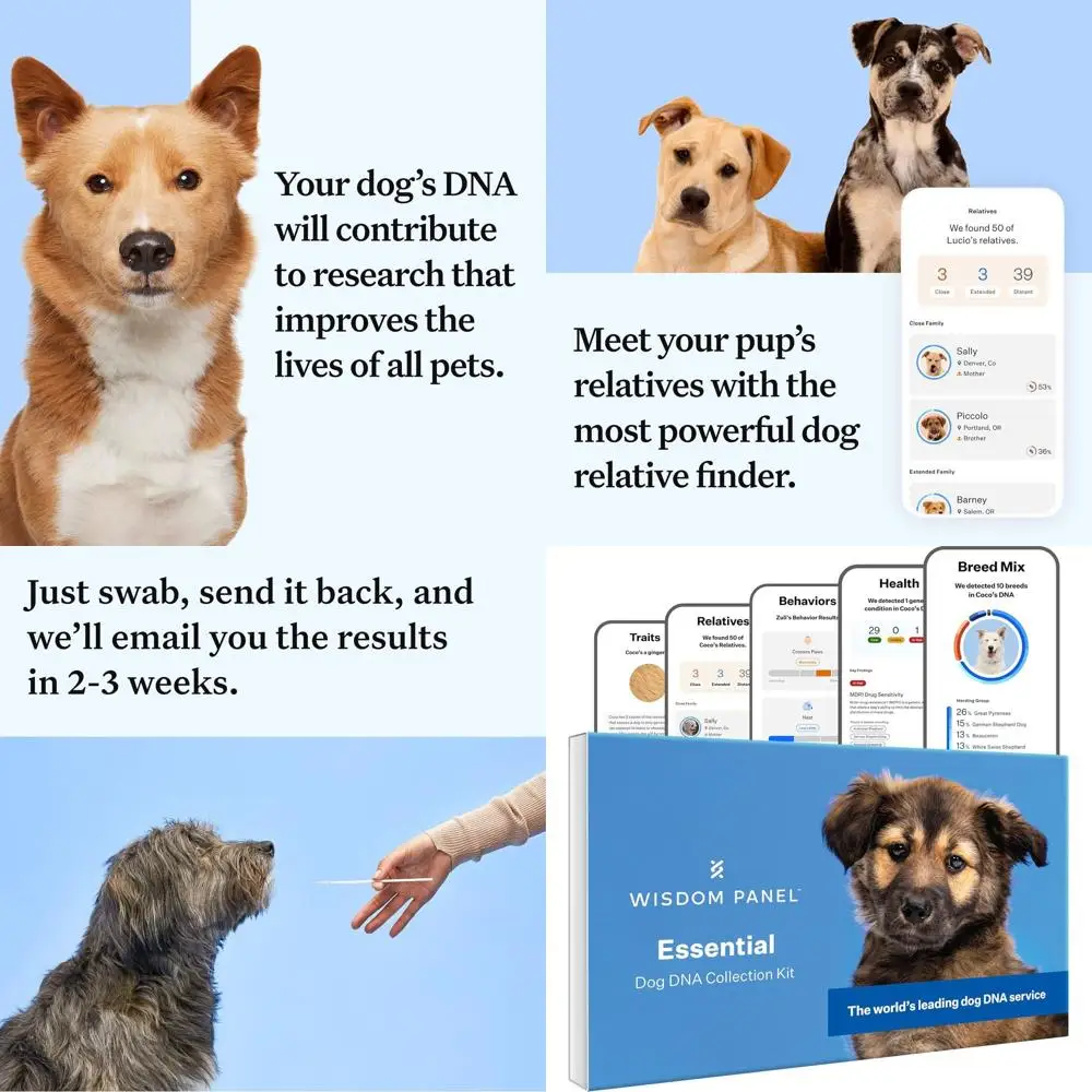 

Advanced Dog DNA Test Kit: Accurate Breed & Health Insights | 365 Breeds, 30 Conditions, 50 Traits