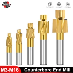 HAMPTON Pilot Slotting Tool Bit M3-M16 fresa da banco fresa HSS per fresatura di metalli fresa da banco per fori pilota