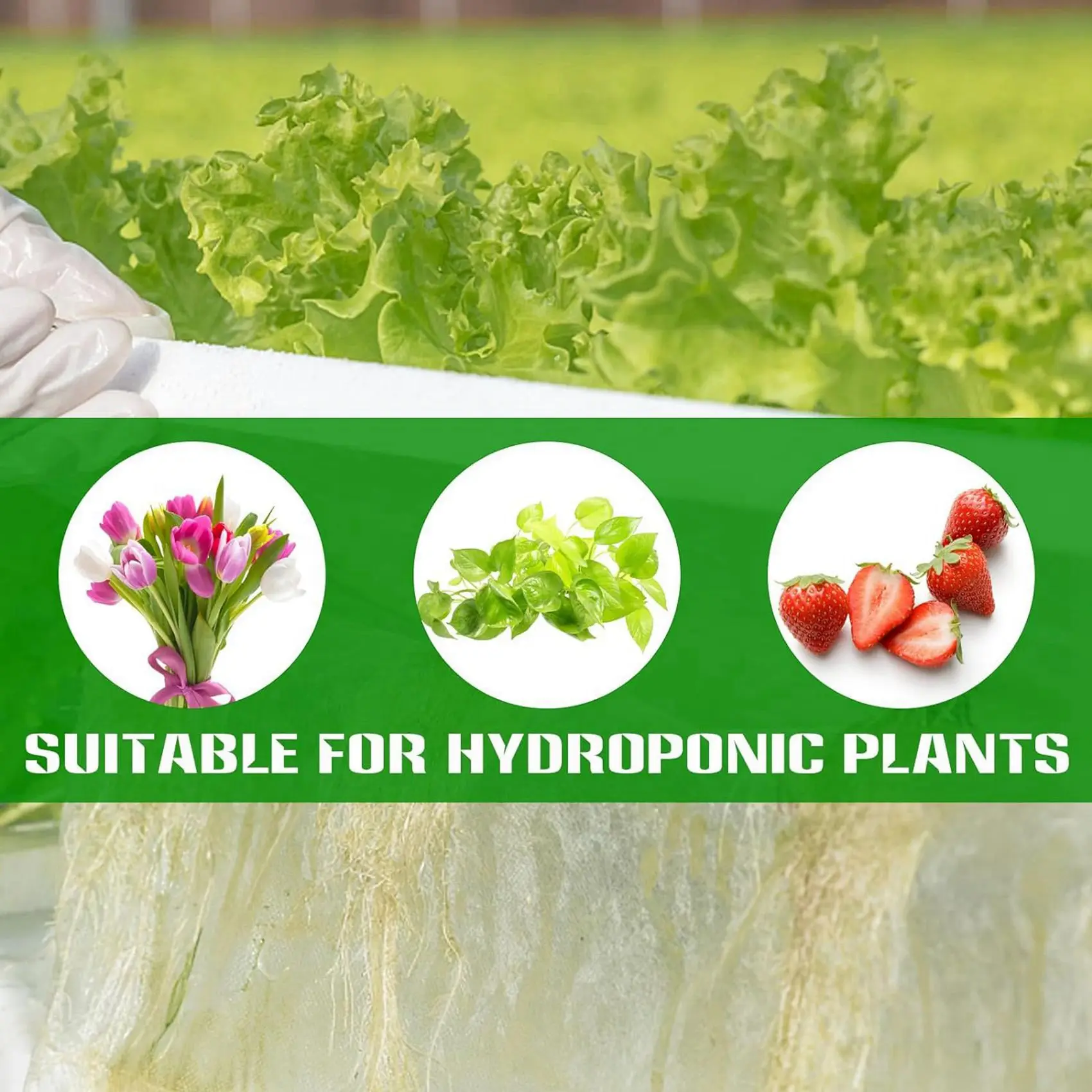 

A23P 1200 Pcs Sponge Squares For Hydroponics, Hydroponic Sponge Planting Tool - Greenhouse Hydroponic Sponge - Square Sponges