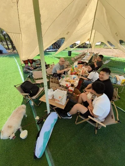 

For MJX Hyper Go RC Car Parts Remote Control 14209 1/14 Off road vehicle beach bike accessories/E45AZ electrically adjustable