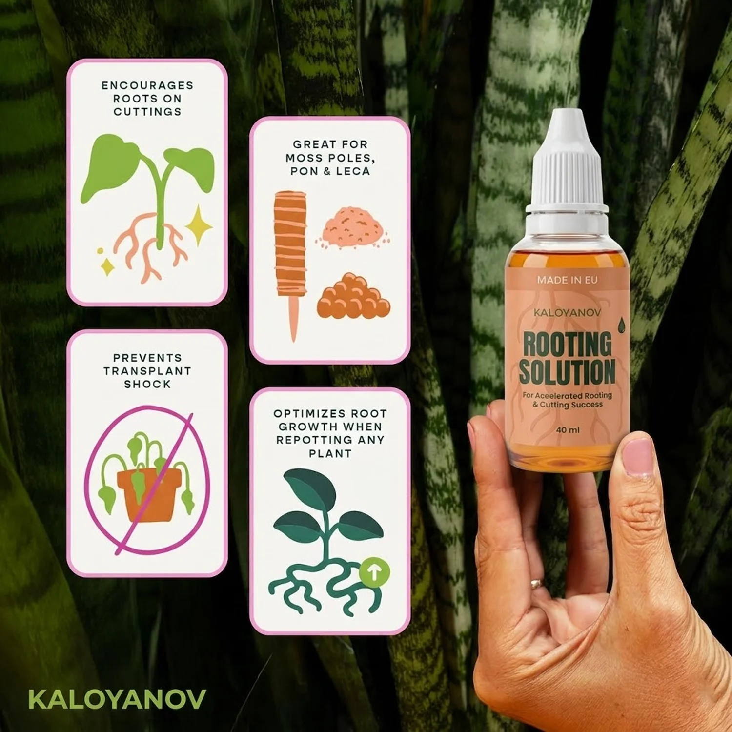 Krople do ukorzeniań - płynny  – Rooting Hormone Powder recenzja i cena