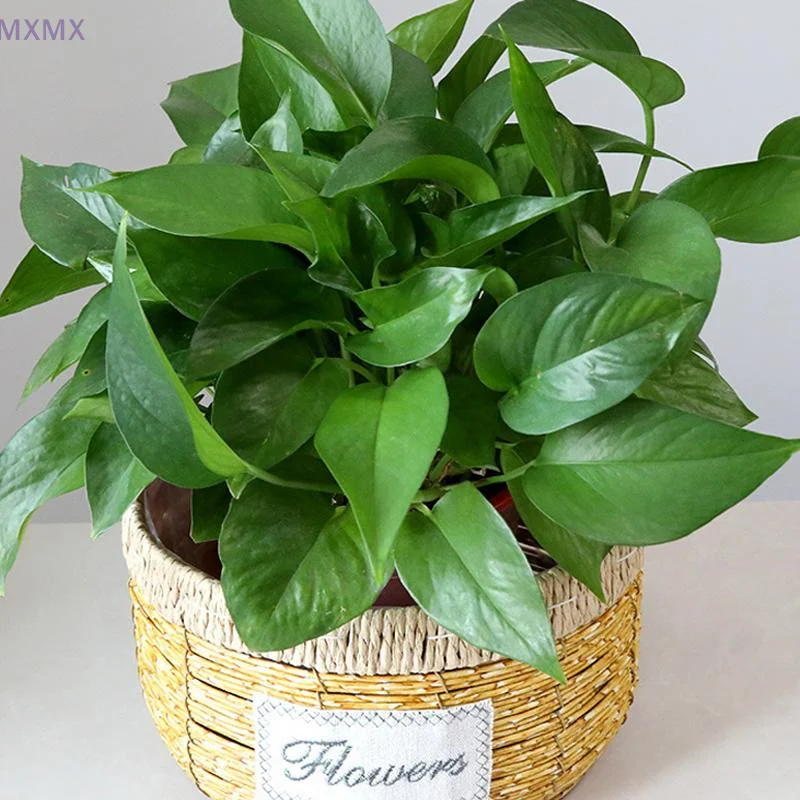 Kreativer gewebter Blumentopf, multifunktionaler Pflanzenkorb, Nachahmung von Rattan, Blumentopf, gewebter Blumenkorb, Heimdekoration