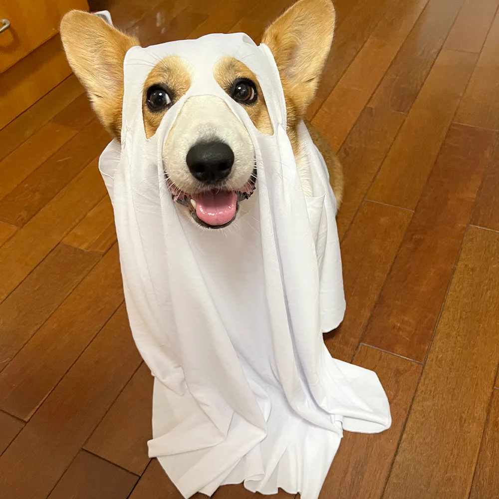 جديد شبح الكلب loween تأثيري الديكور الاسمية رداء مستلزمات الحيوانات الأليفة سماعة العرقية المرحلة زي المرأة Faion صيف 2025