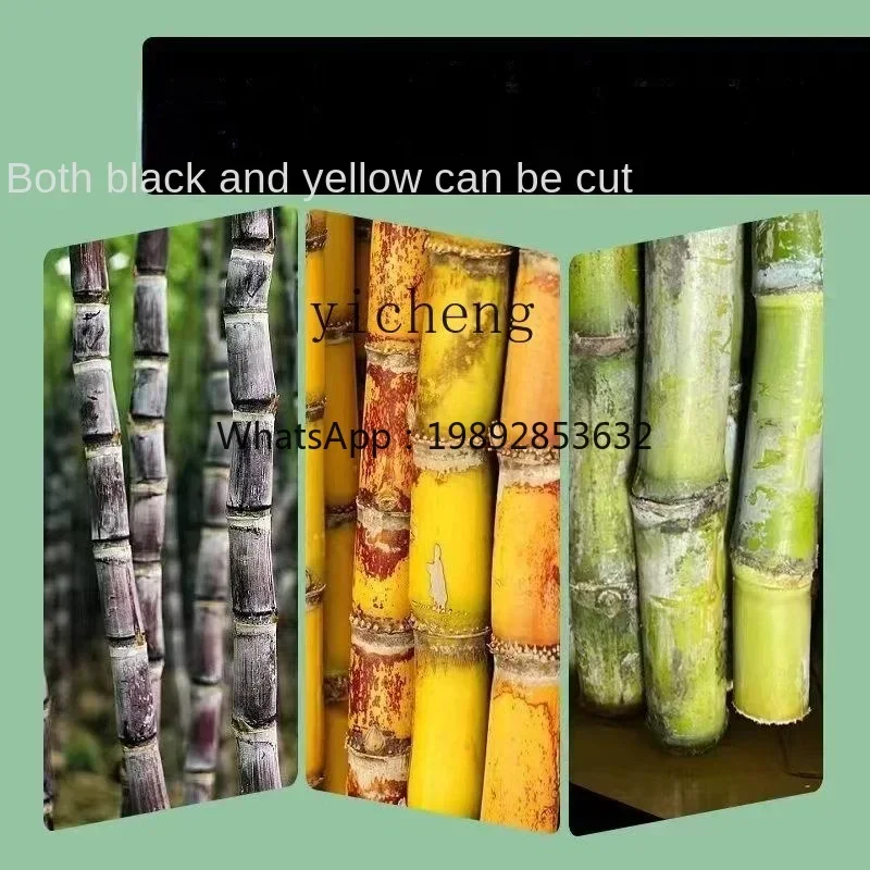 آلة تقشير قصب السكر الأوتوماتيكية التجارية آلة تقطيع كهربائية #5